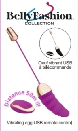 Oeuf vibrant INCURVÉ silicone USB